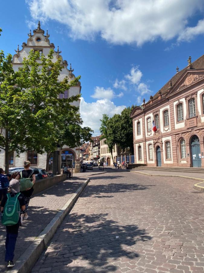 Apartamento Hello Colmar Luxury Petite Venise 7 Pers Parking Velos Exterior foto